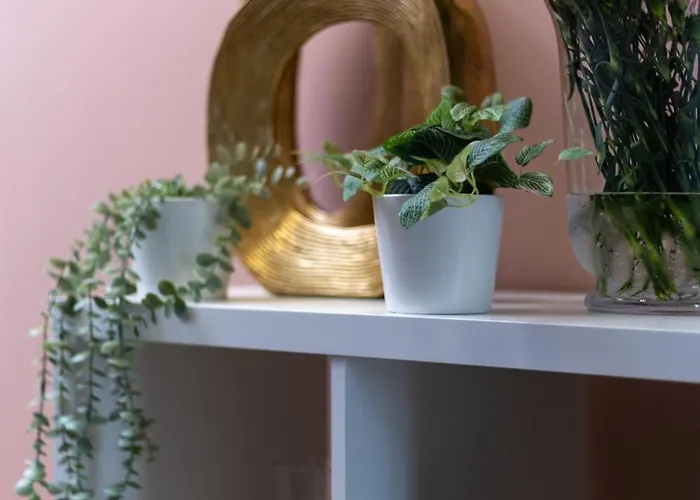 Krasnal Market Square